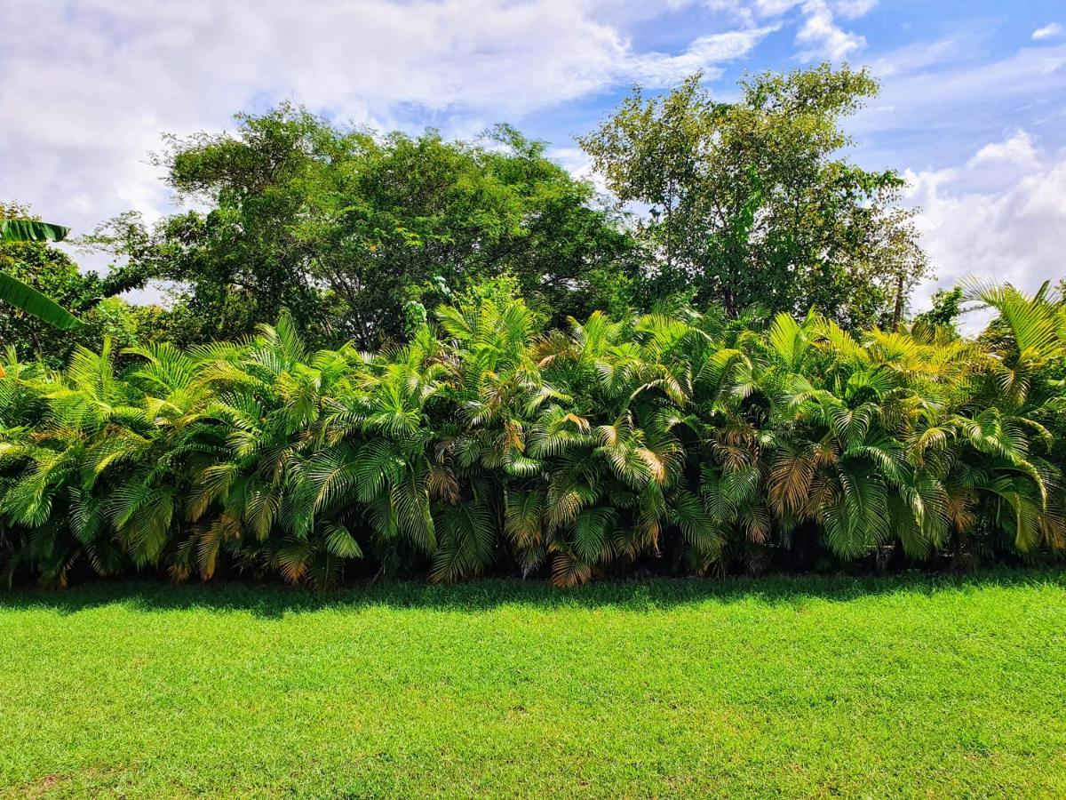 Villa Ohana Sainte-Anne  Buitenkant foto